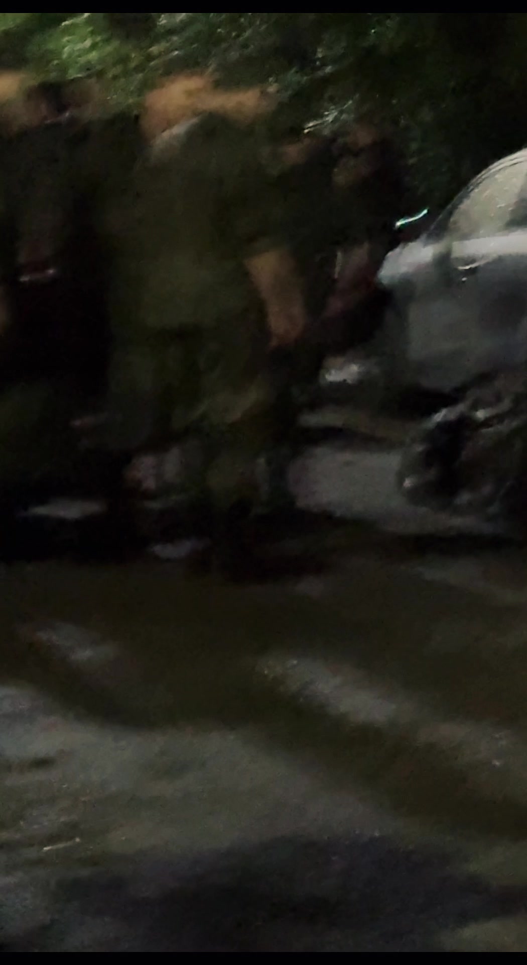 @lan4iK🦎