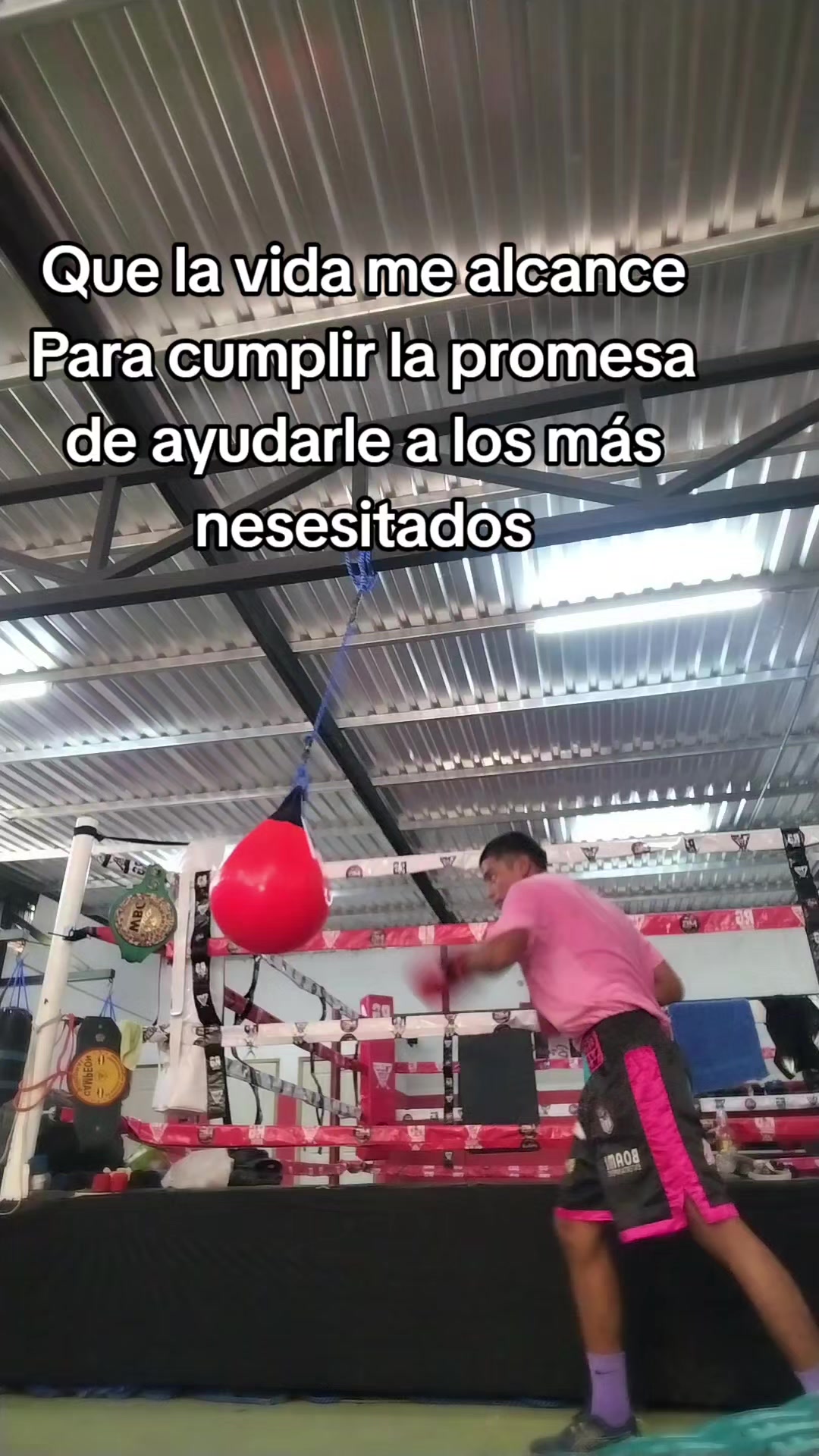 @hermanos L&oacute;pez