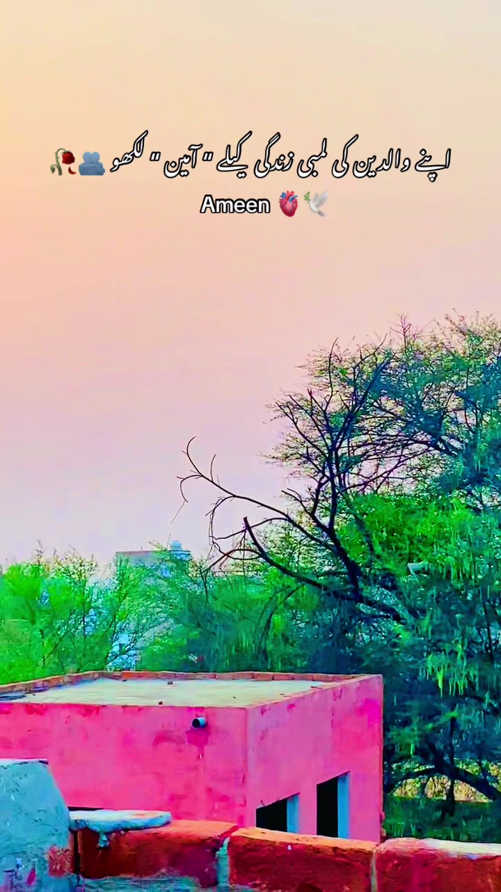 @🥀🌾 پنجابی کلچر 🥀🌾