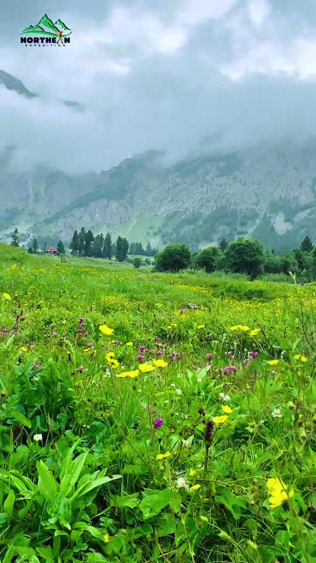 @NORTHERN EXPEDITION.pk