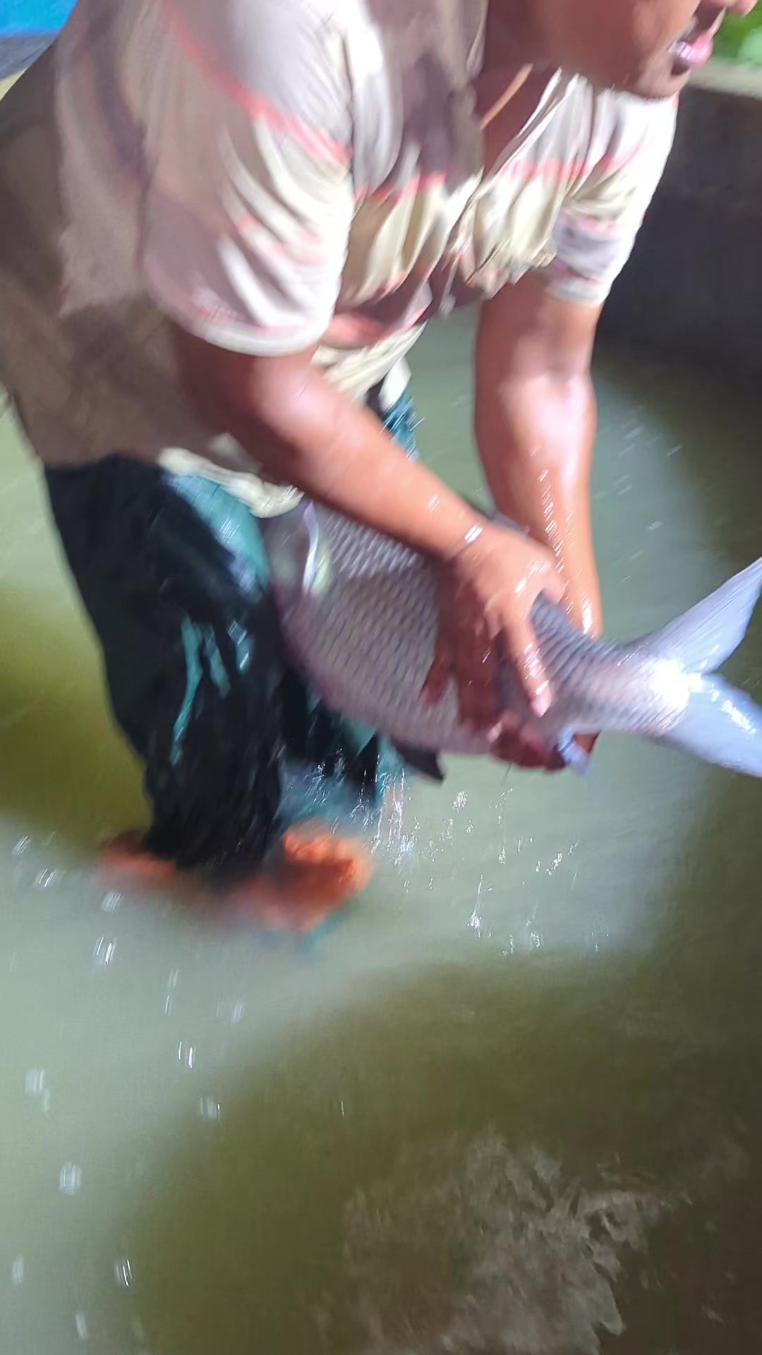 @Fish Lovers Bangladesh