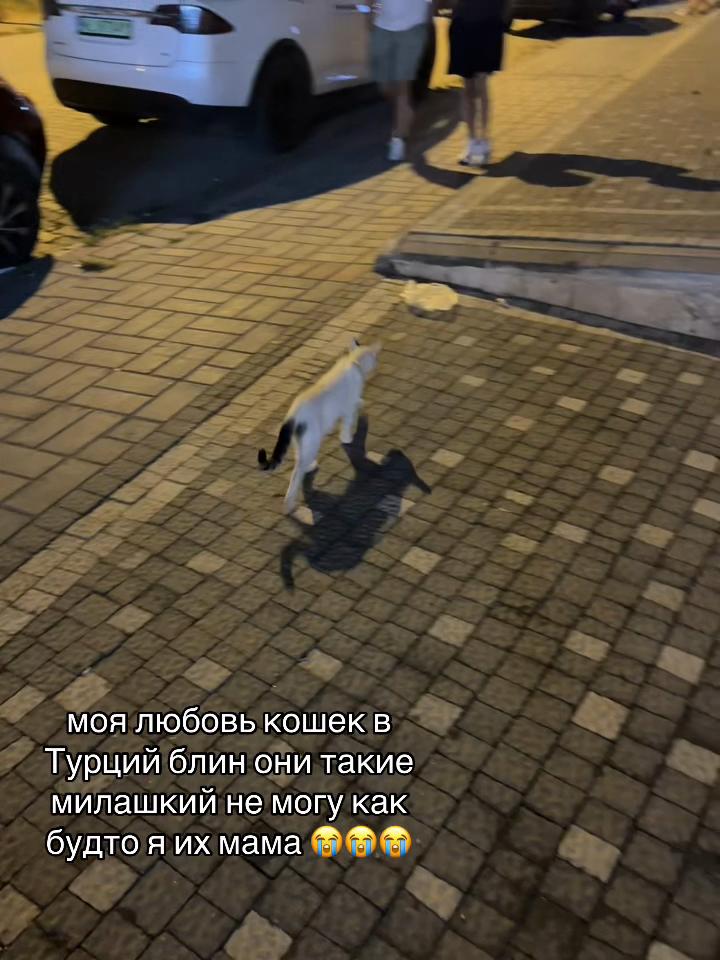 @девушка с Аутизмом 🫶🏻