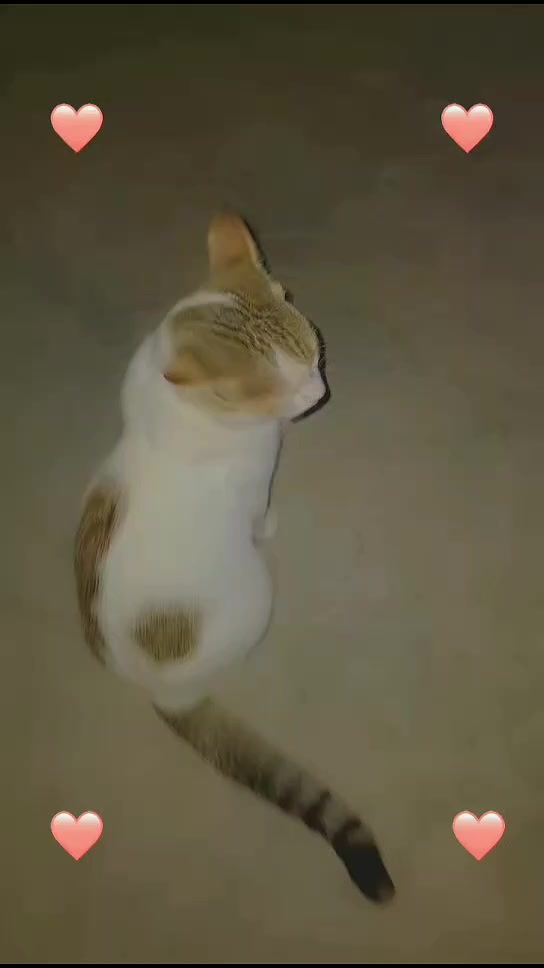 @cutequeen123