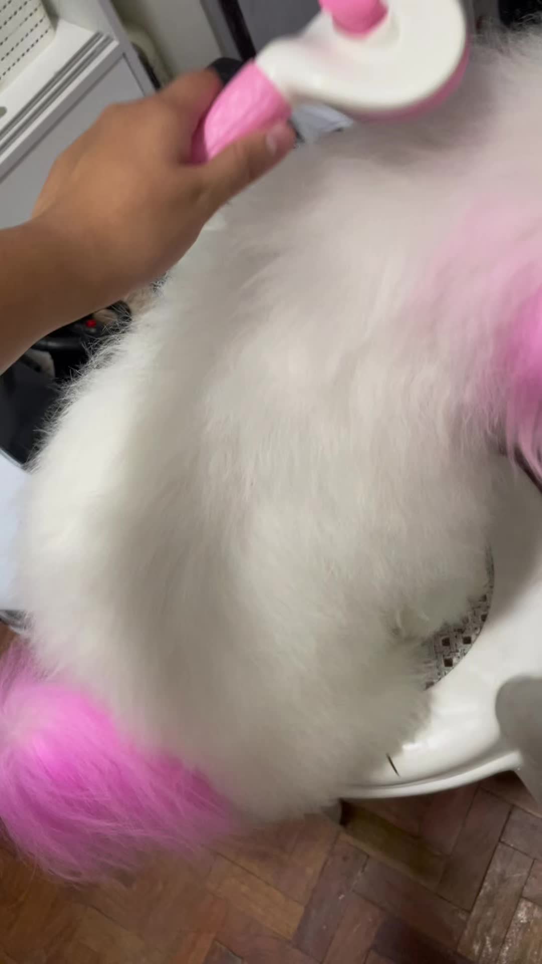 @CUCCI THE BICHON