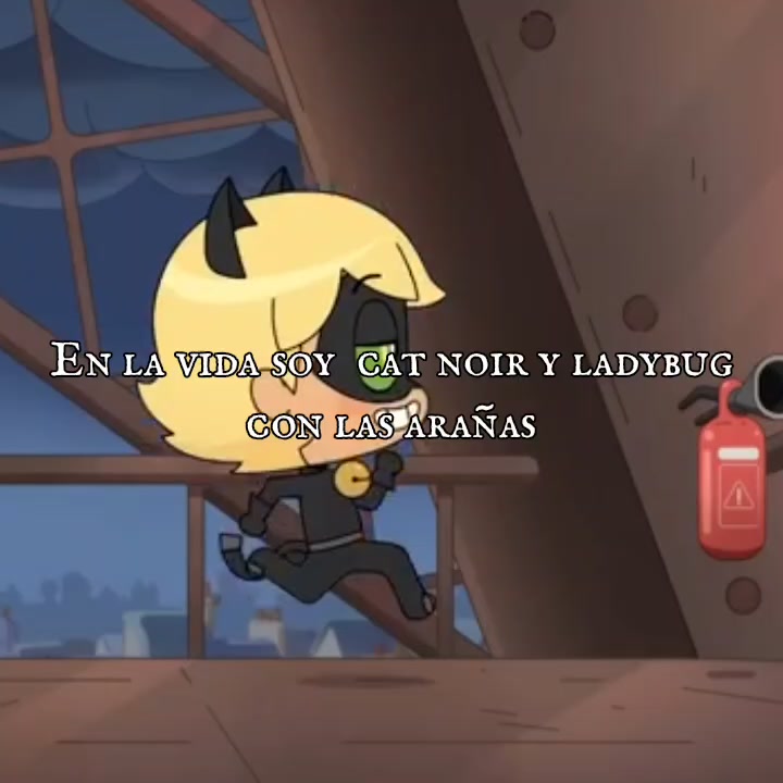 @Miraculous Ladynor