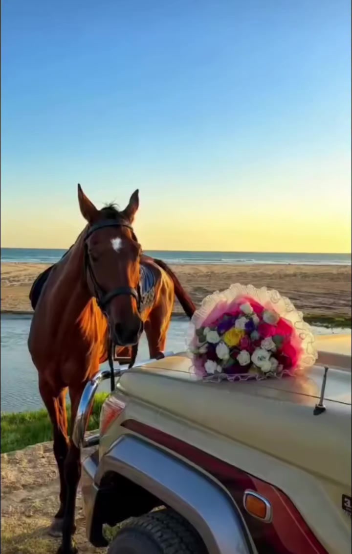 @࿐٭ۦْمٍلآڪ آلࢪۆحٍ