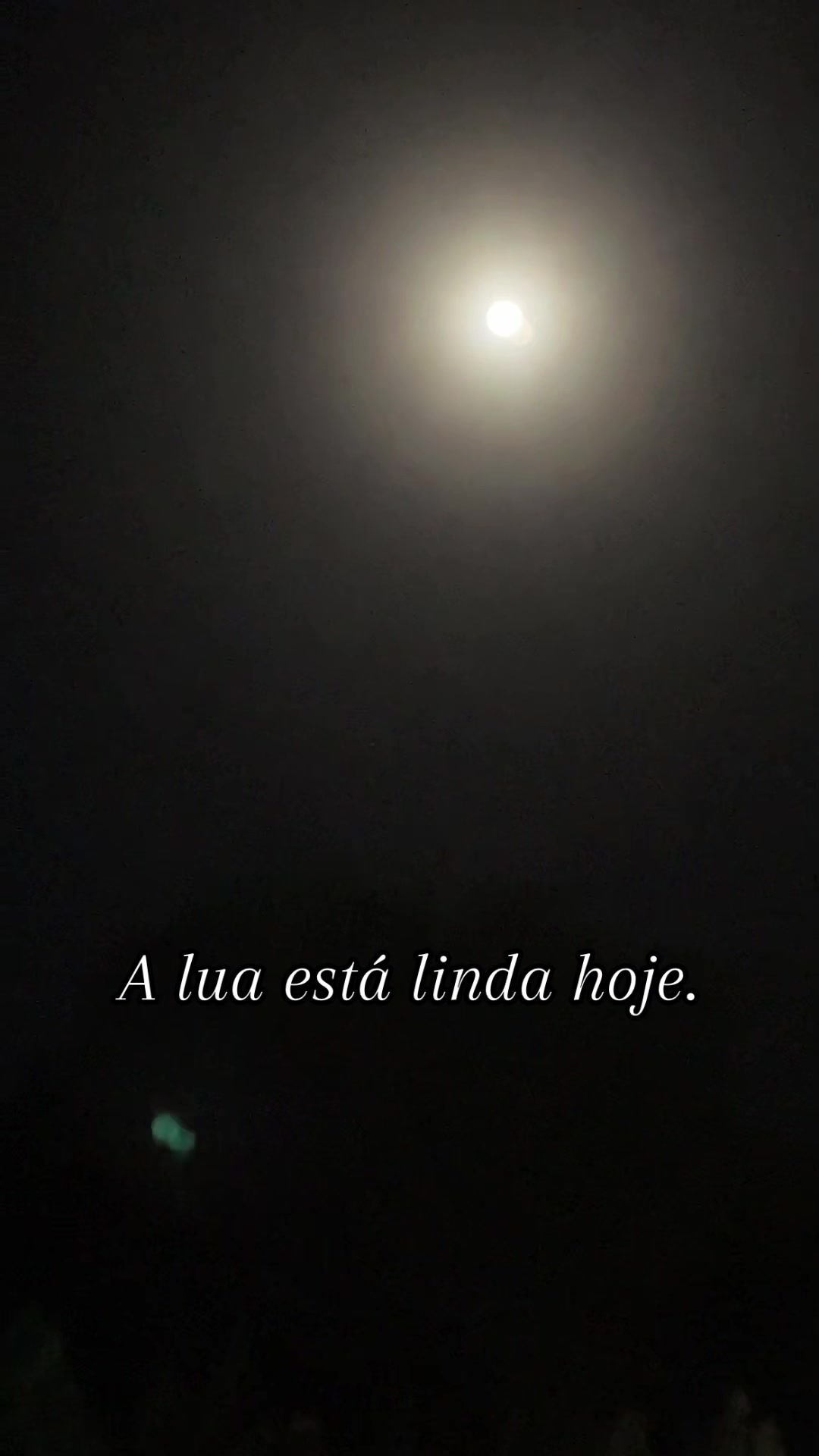 @Rosa Maria Pires