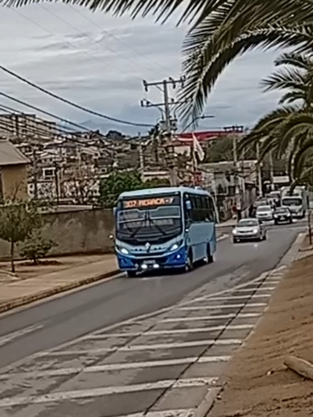 @busologia_wasabi