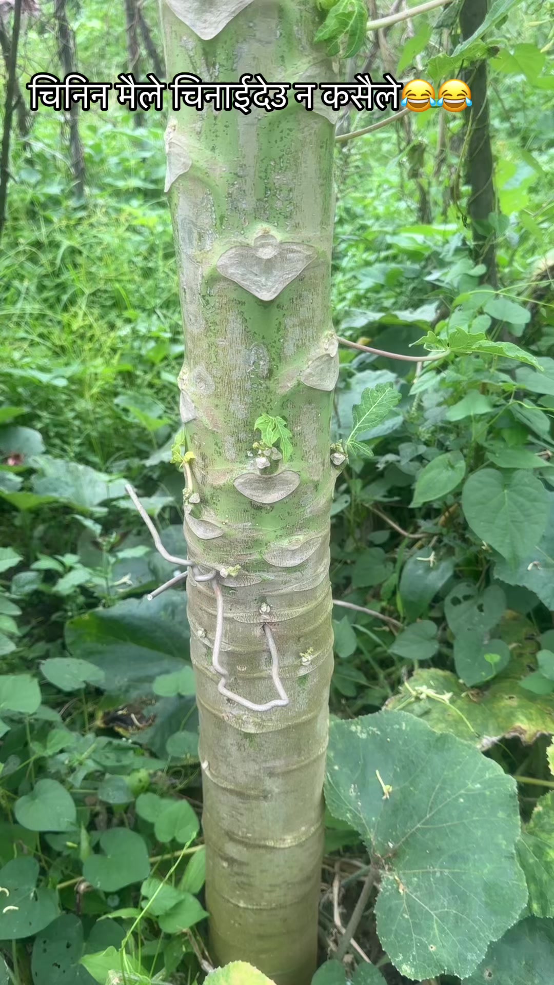 @Gudeeyaa❤️🦋🌷🌎