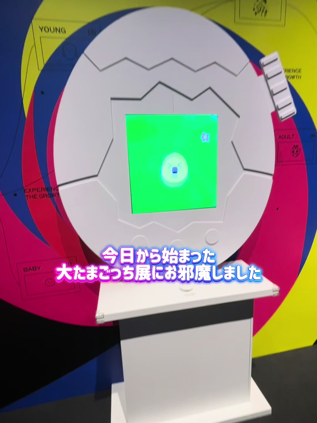 @人生諦めろ~んてゃ🍈