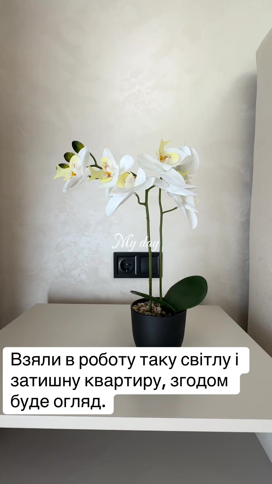 @viktoriya_rieltor
