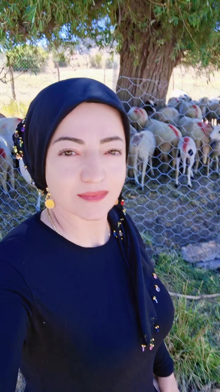 @Meral Sütcü