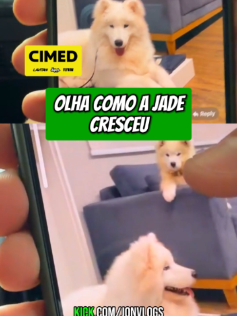 @exclusivodojon