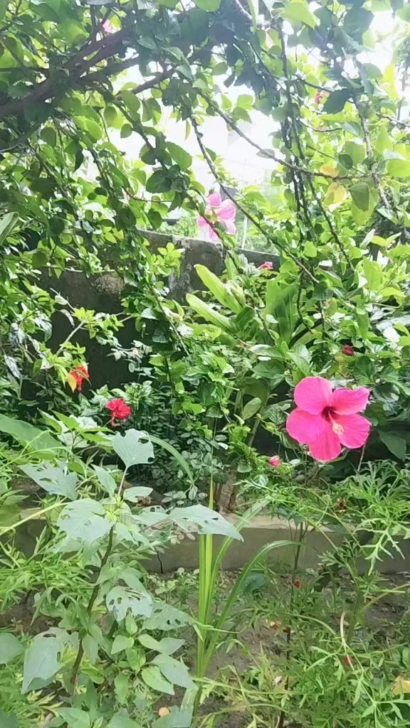 @Binita jha