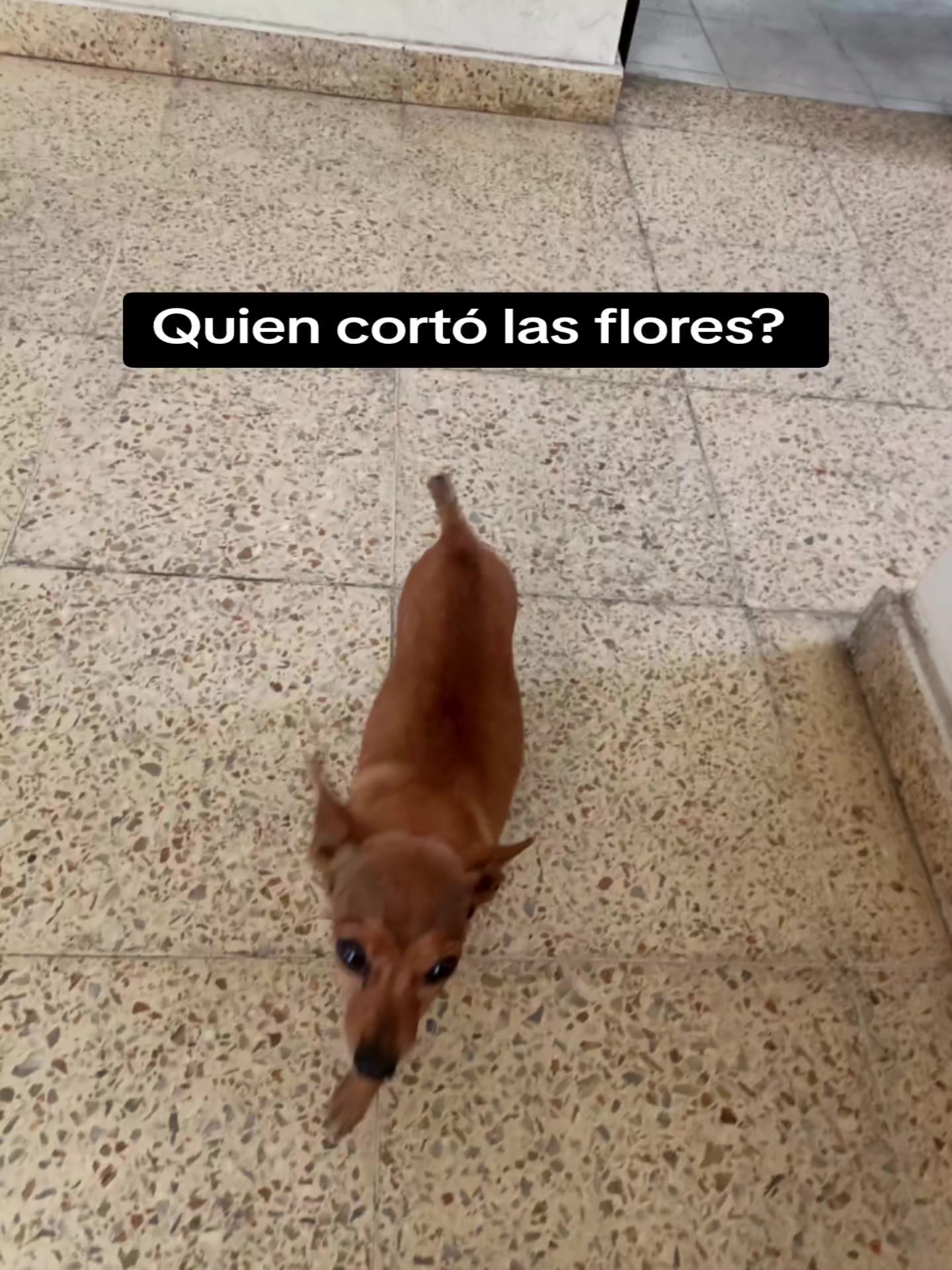 @Maite H Rojas