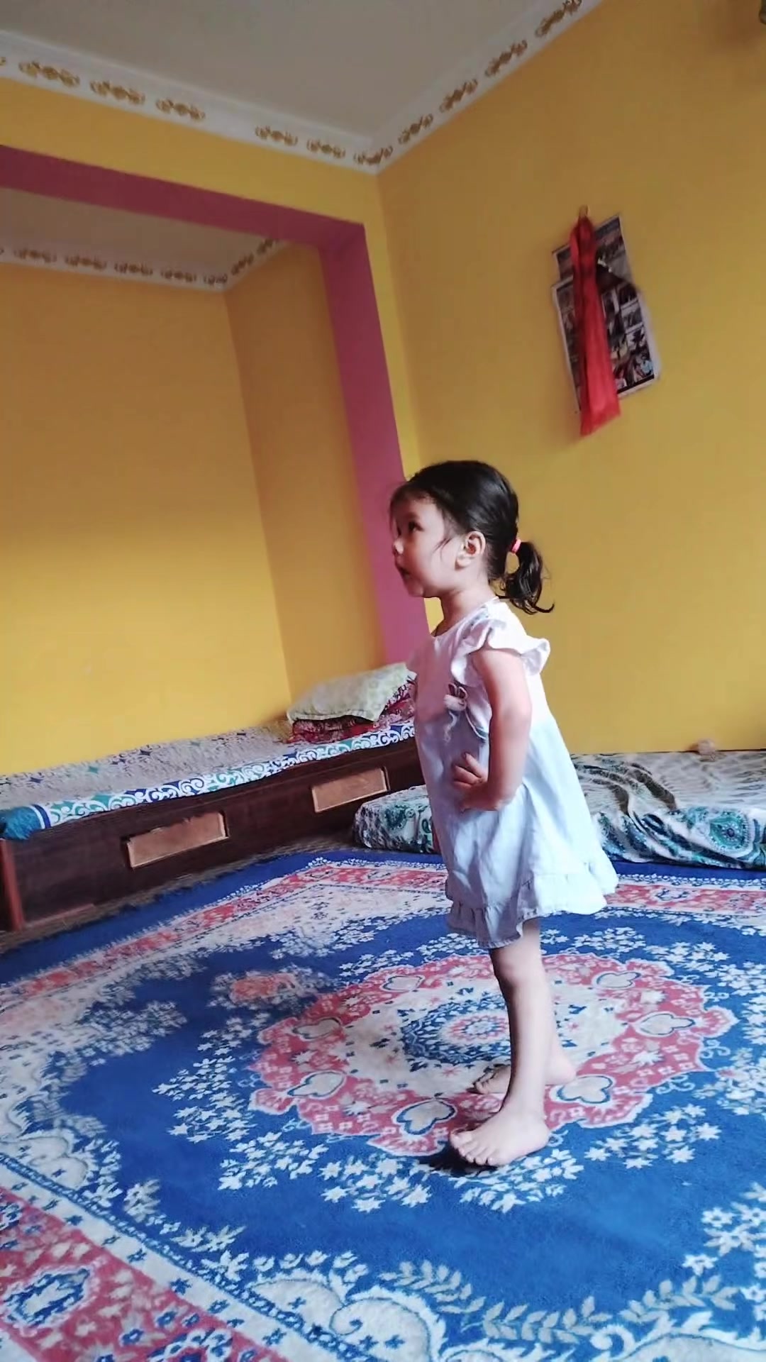 @Susma Aryal