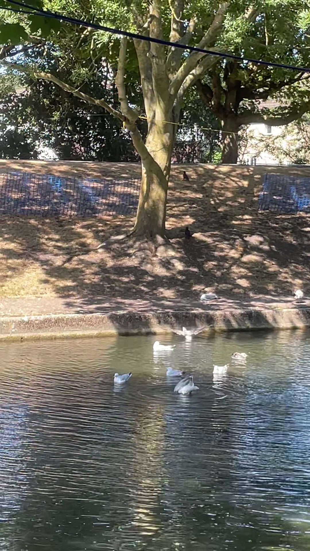 @K🩷r