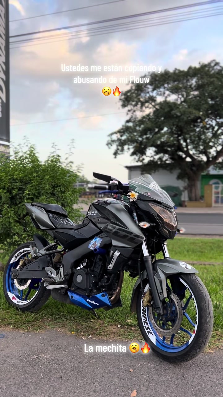 @el pana 🦥