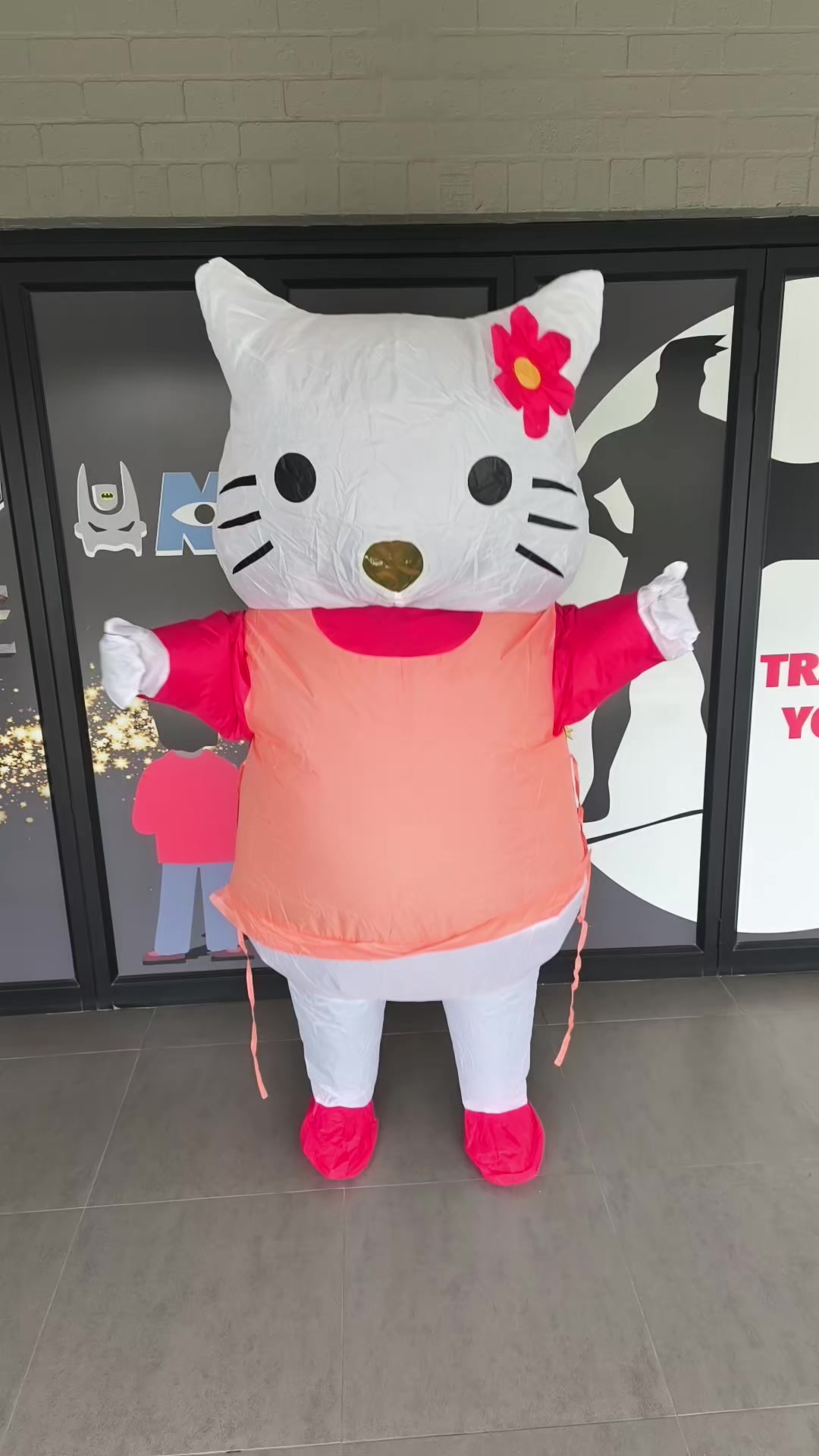 @Sinderella Costume Hire