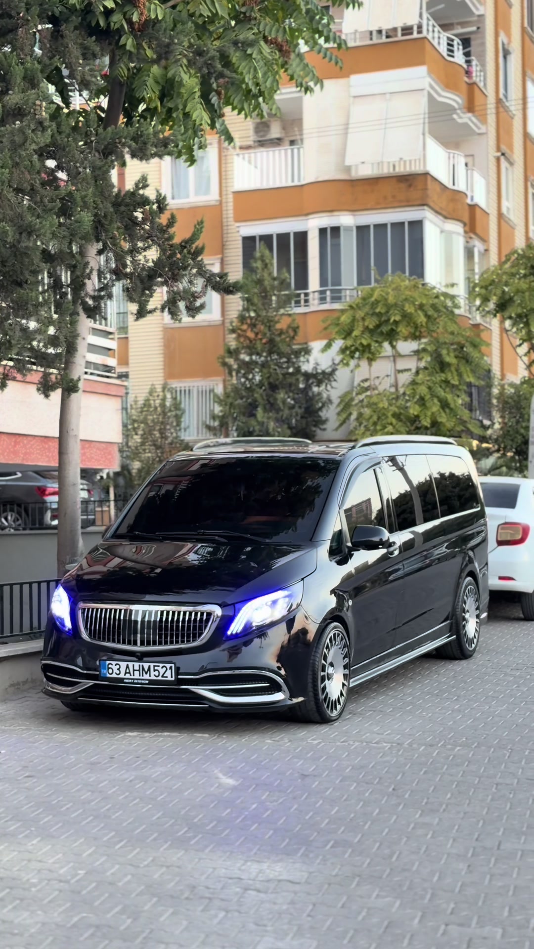 @Mert İstegün
