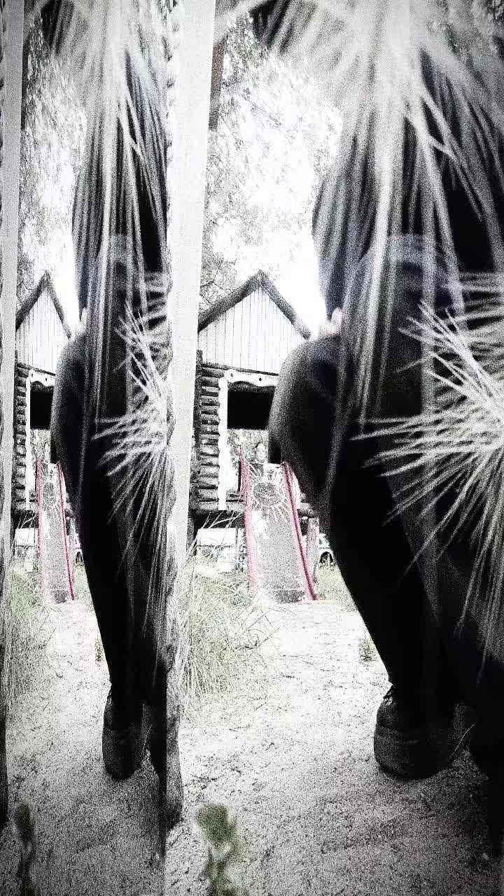 @Артур I Уродливый #лтнчик