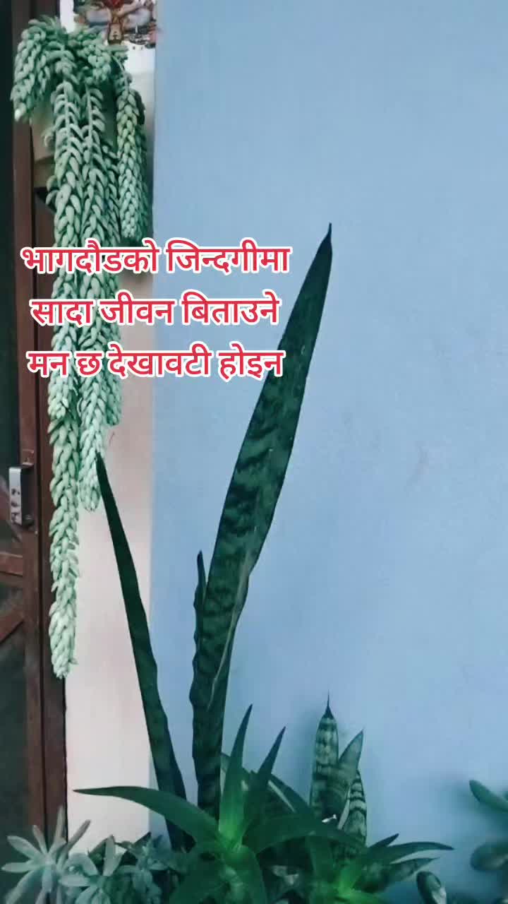 @sharmila