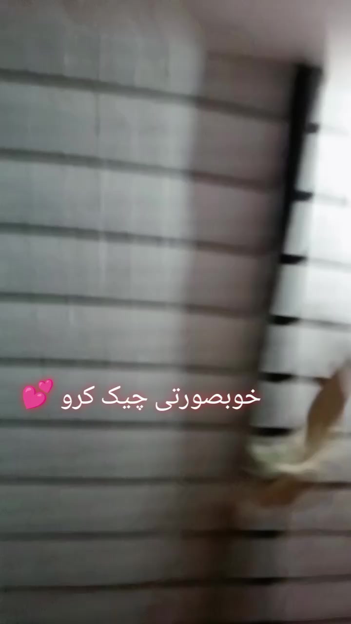 @Muslim video