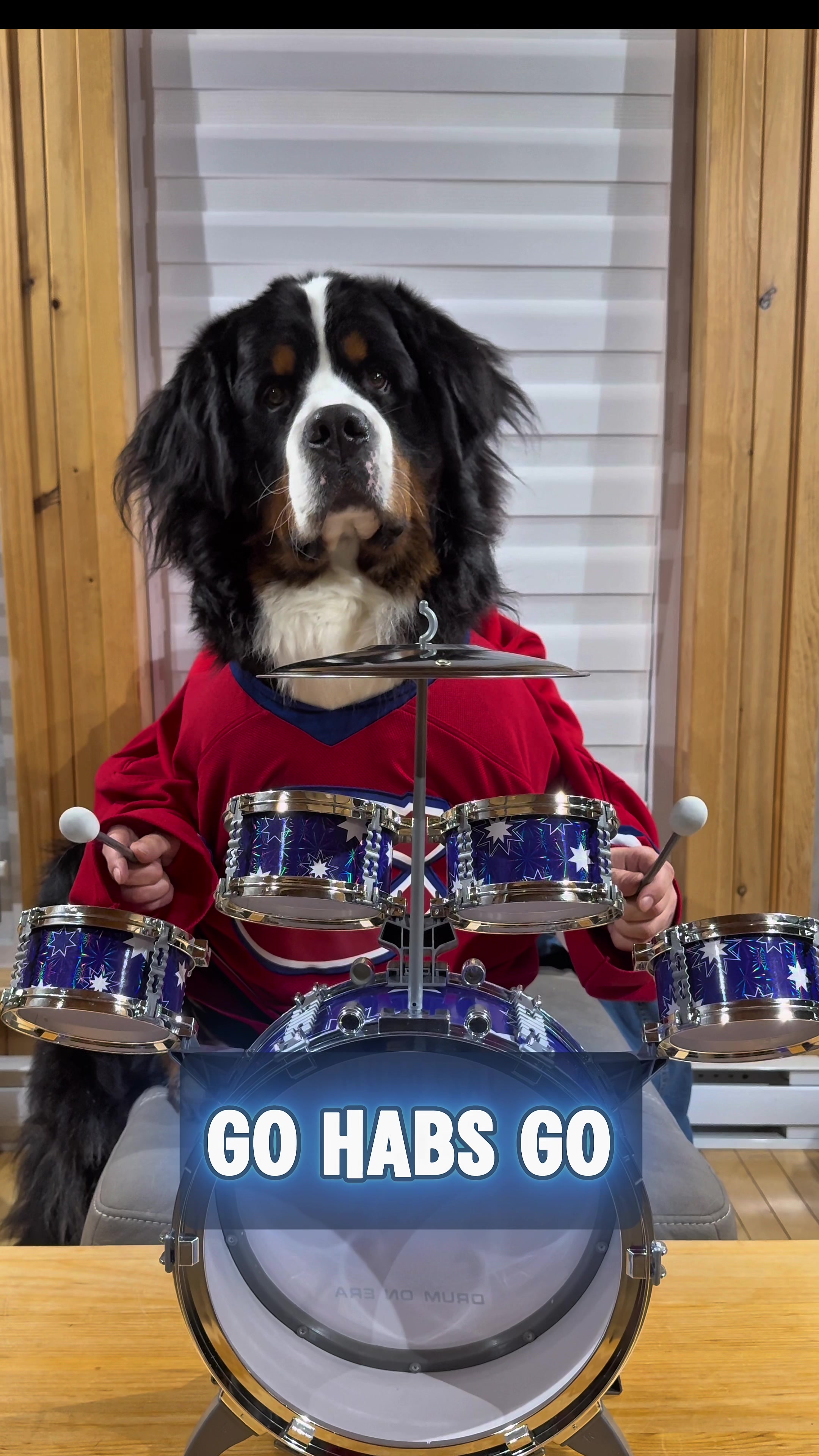 @Woody The Bernese