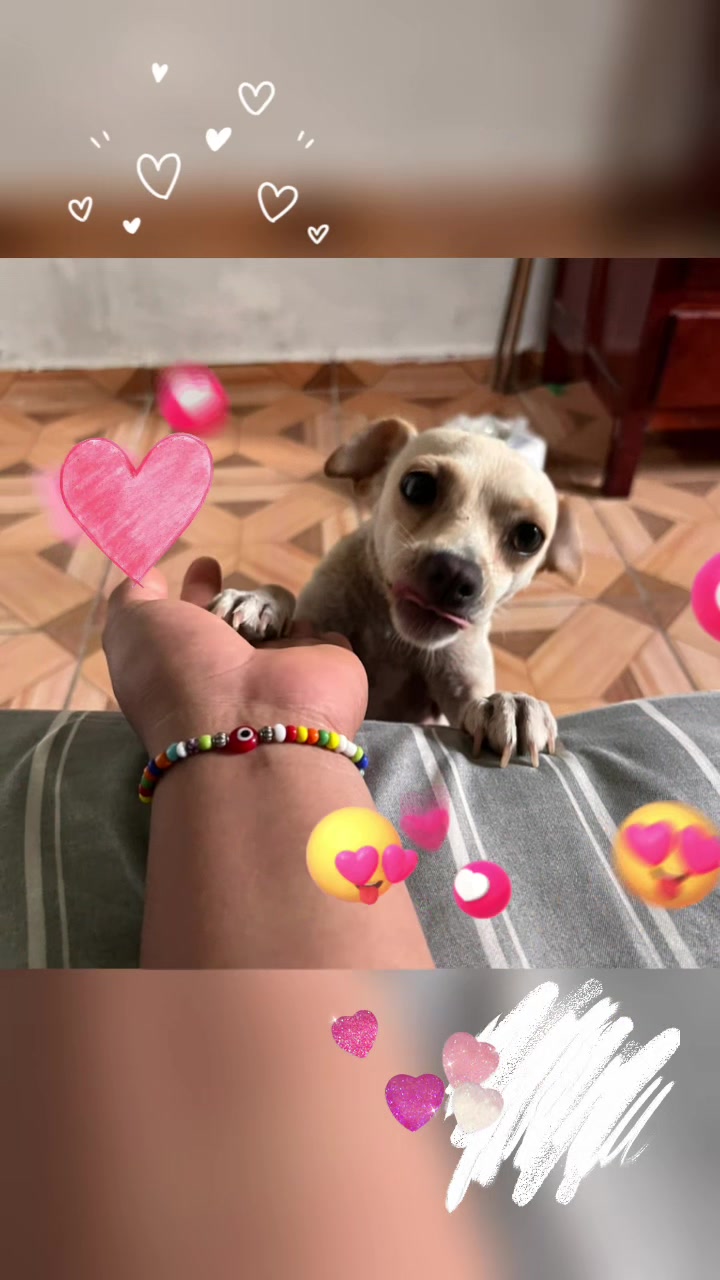 @maguieevargmart