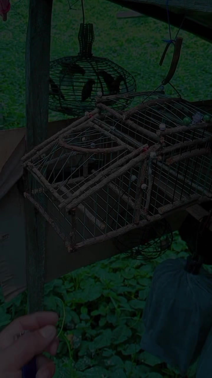 @Srindit kaltara 🦜