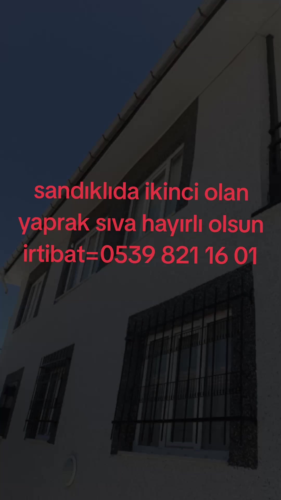 @celik
