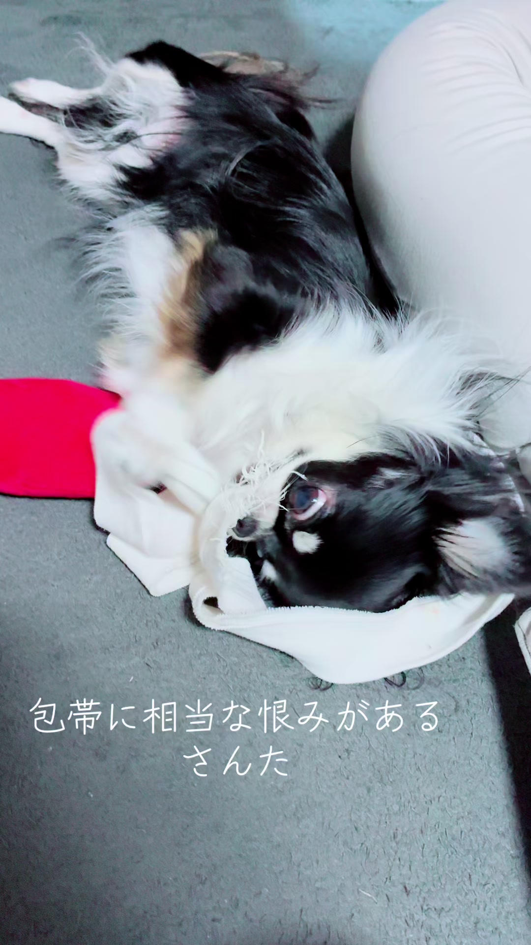 @ayakosansan3