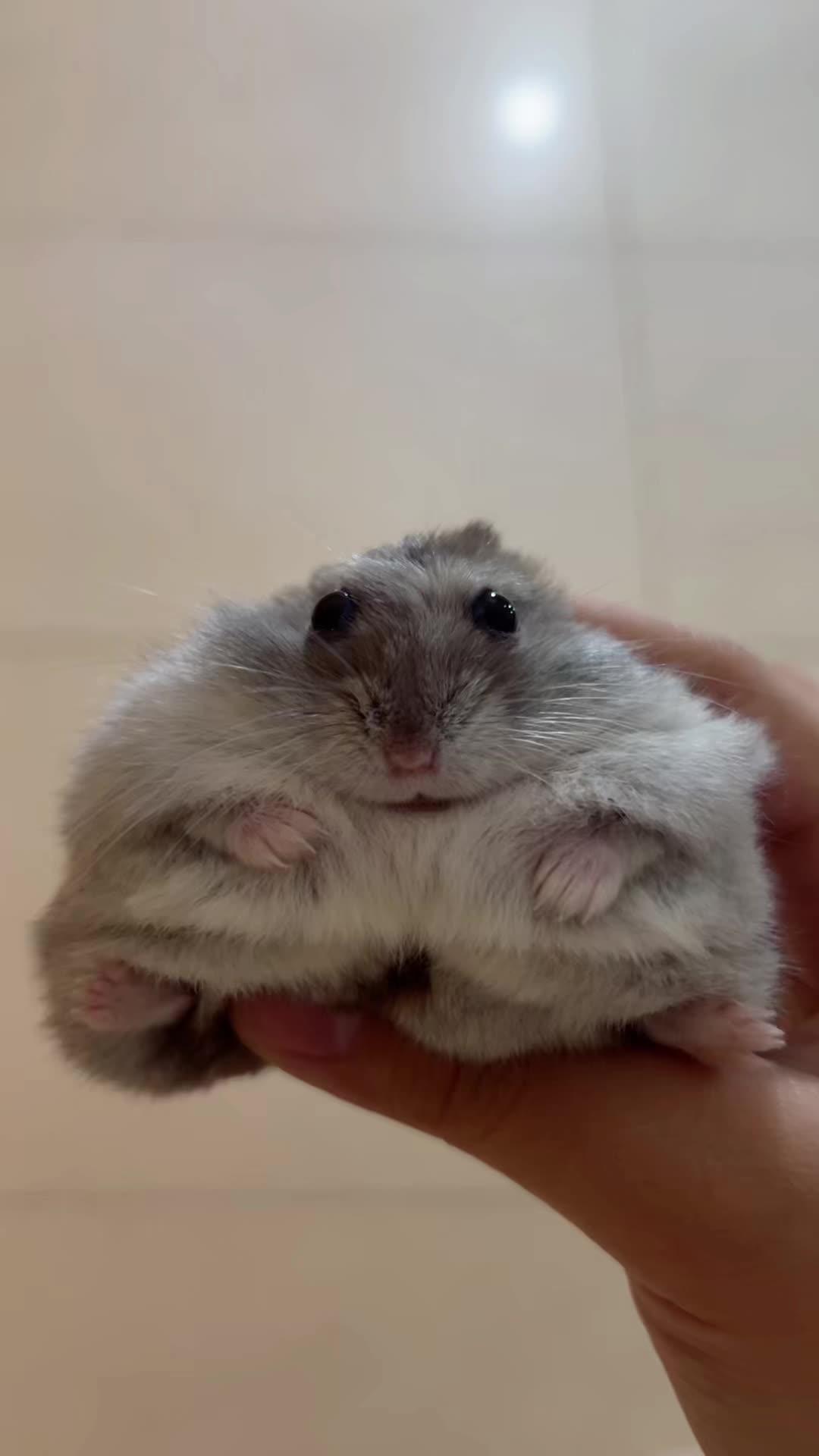 @𝒆𝒍𝒍𝒂✨