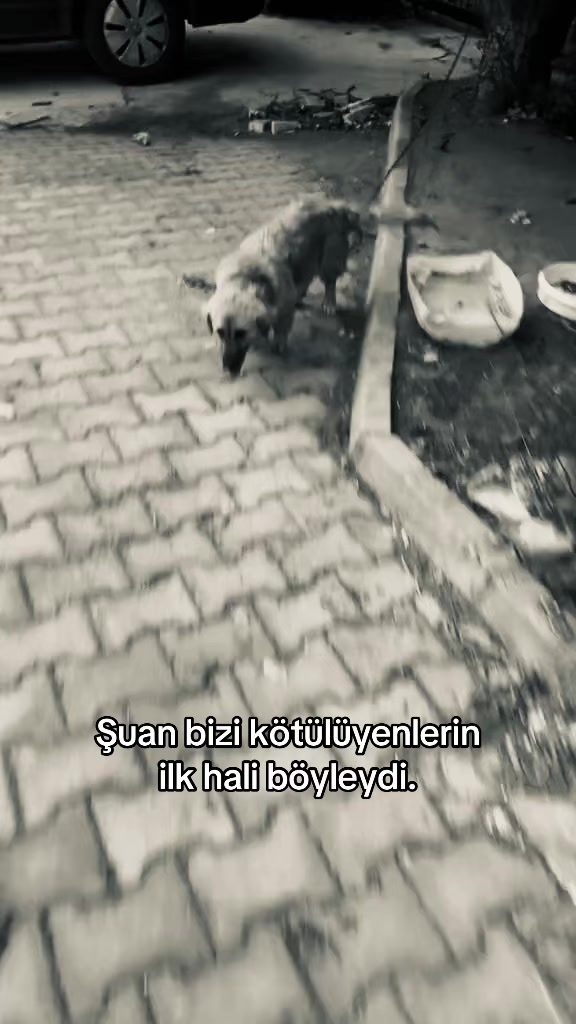 @Ecrin.
