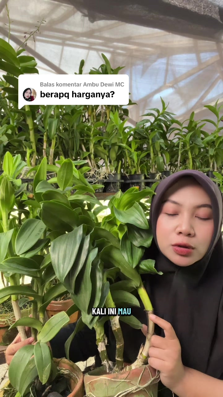 @Griya sekarindo utama