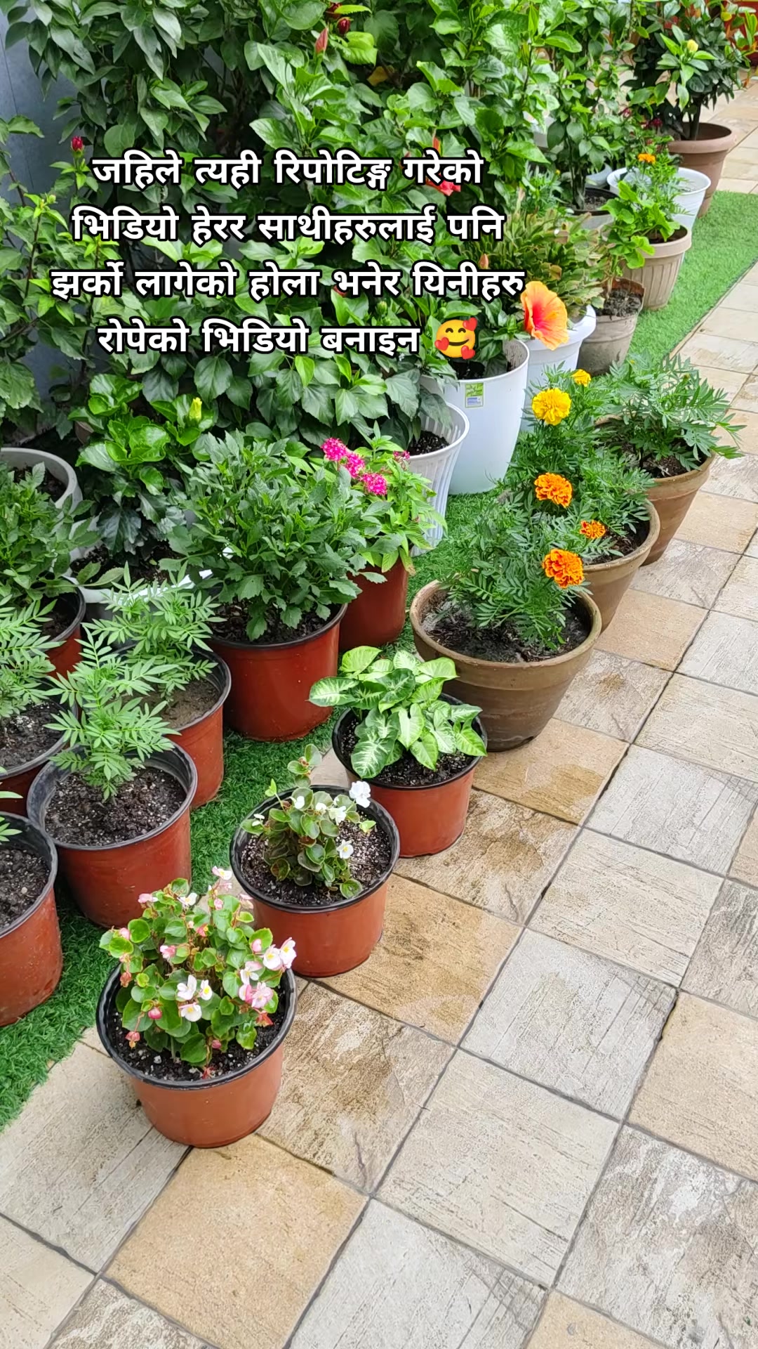 @poonam_shah 🧿🍀
