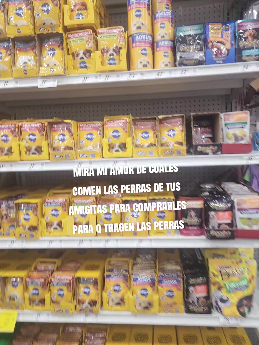 @Saray Torres