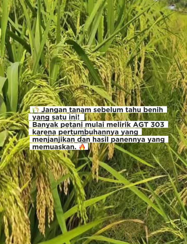 @PT. BHD INDONESIA