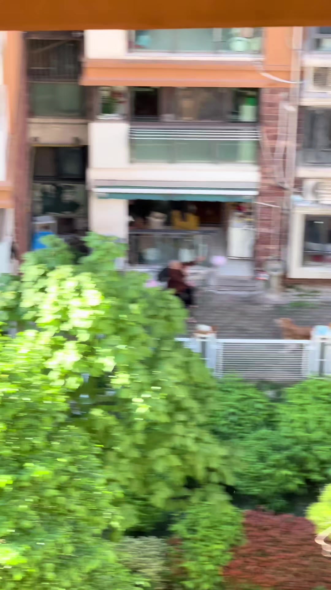 @平凡無奇