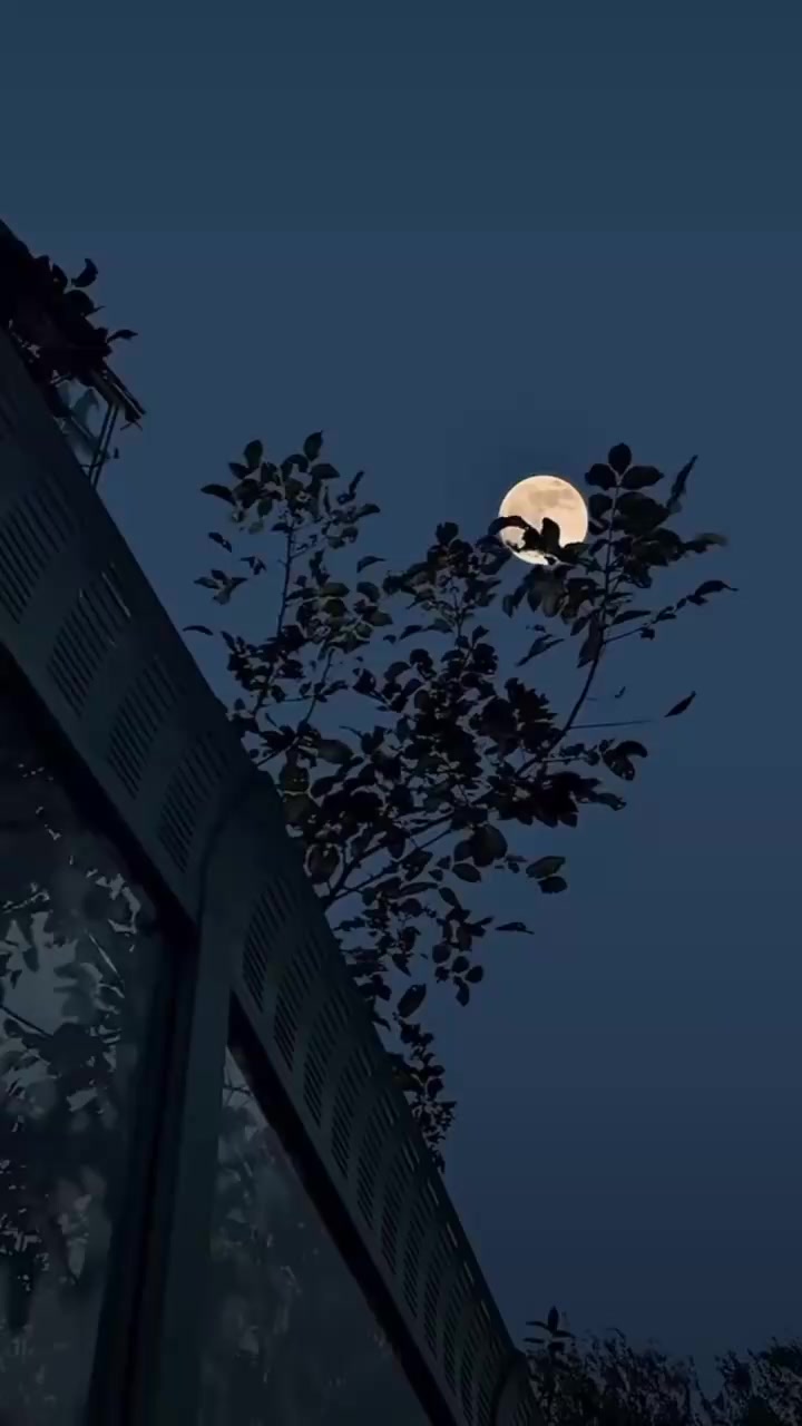 @𝐒ᡣ𐭩࣪⋆