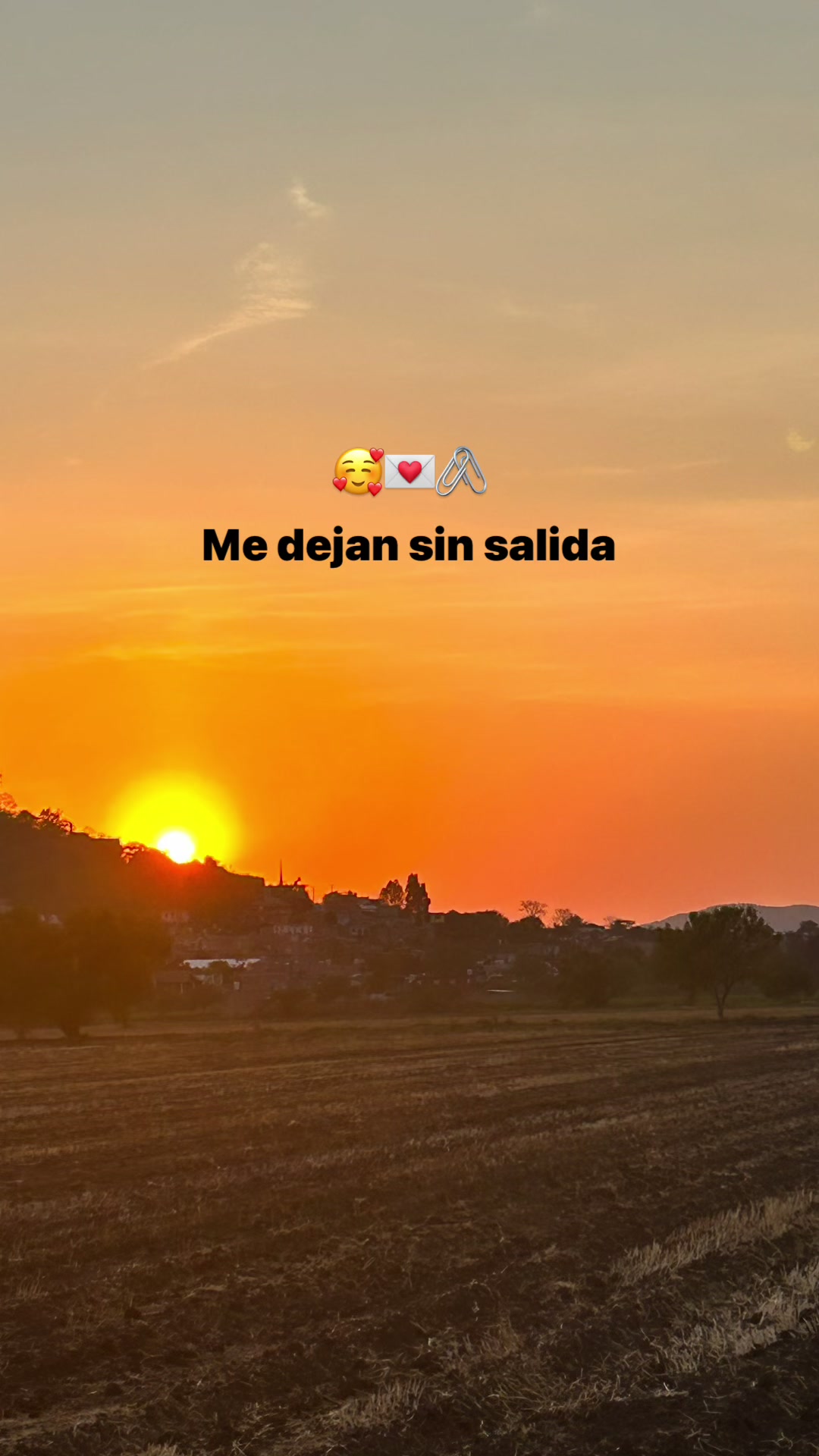 @lcia_65