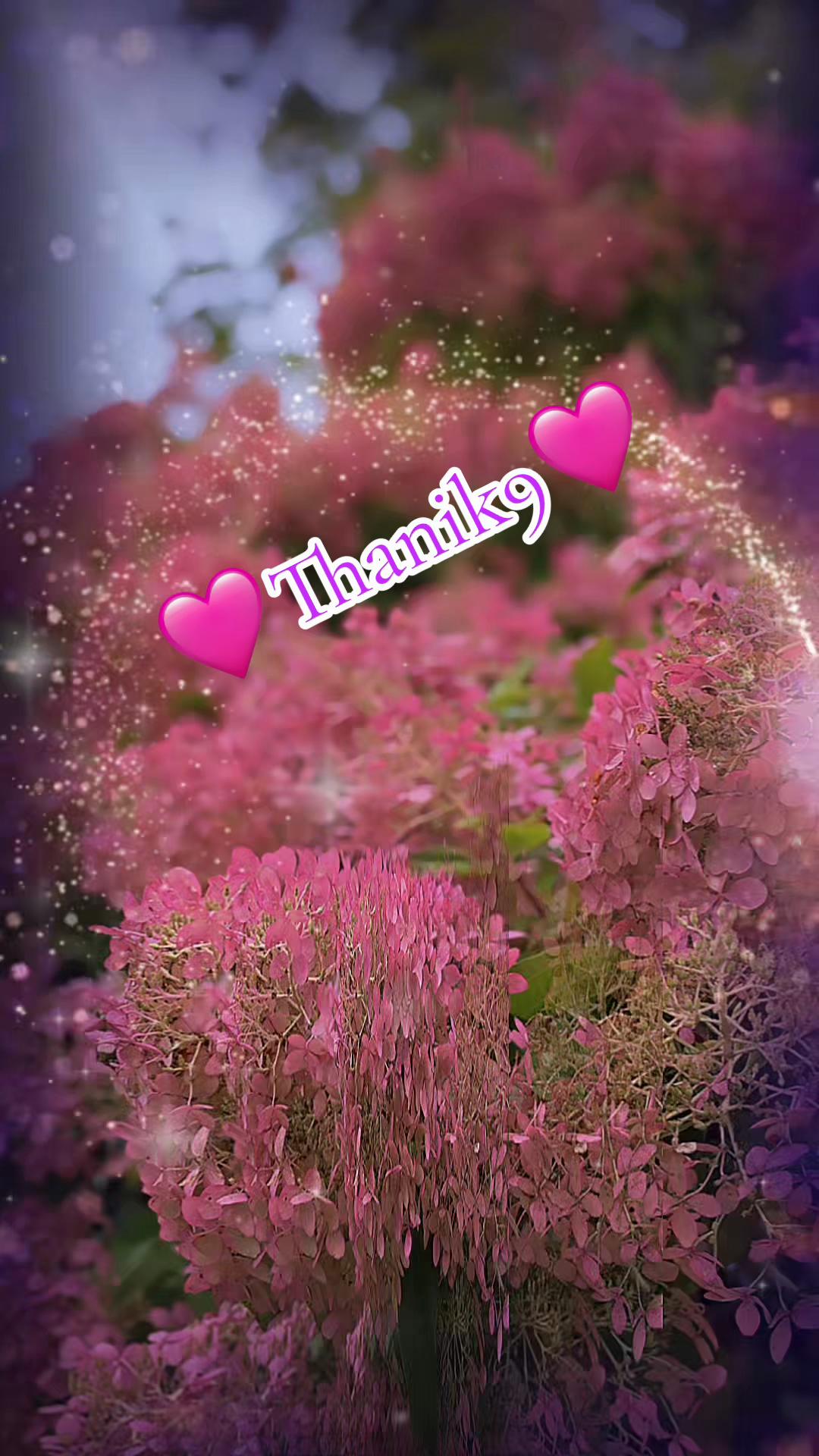 @Thanik