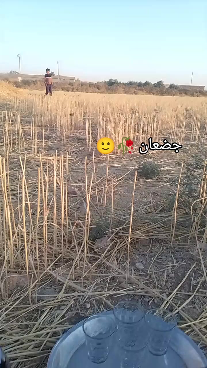 @ابو🪶⍣⃟ــشوق𓅓𓆩𝟓𝟏𝟓𓆪