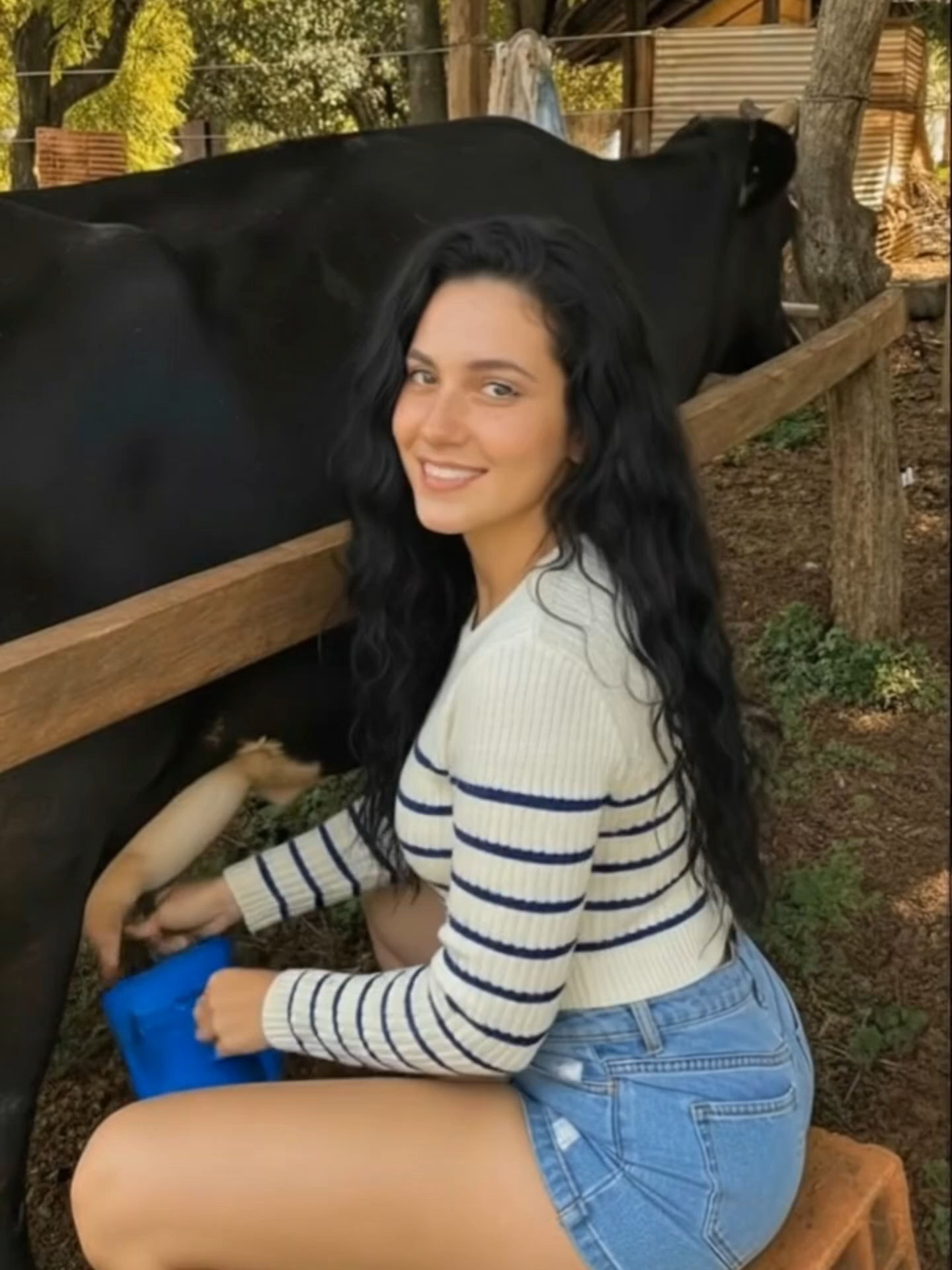 @A Vida na Ro&ccedil;a