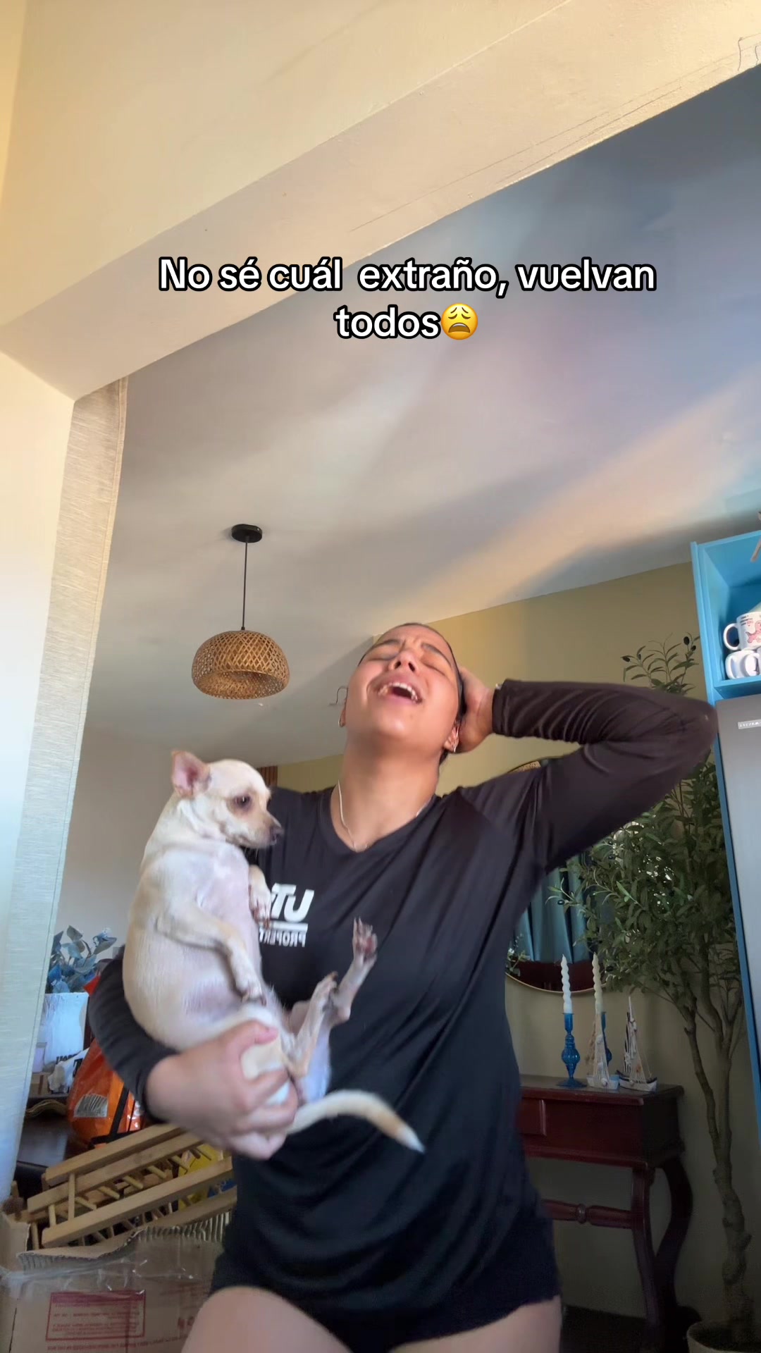 @la_c69k_