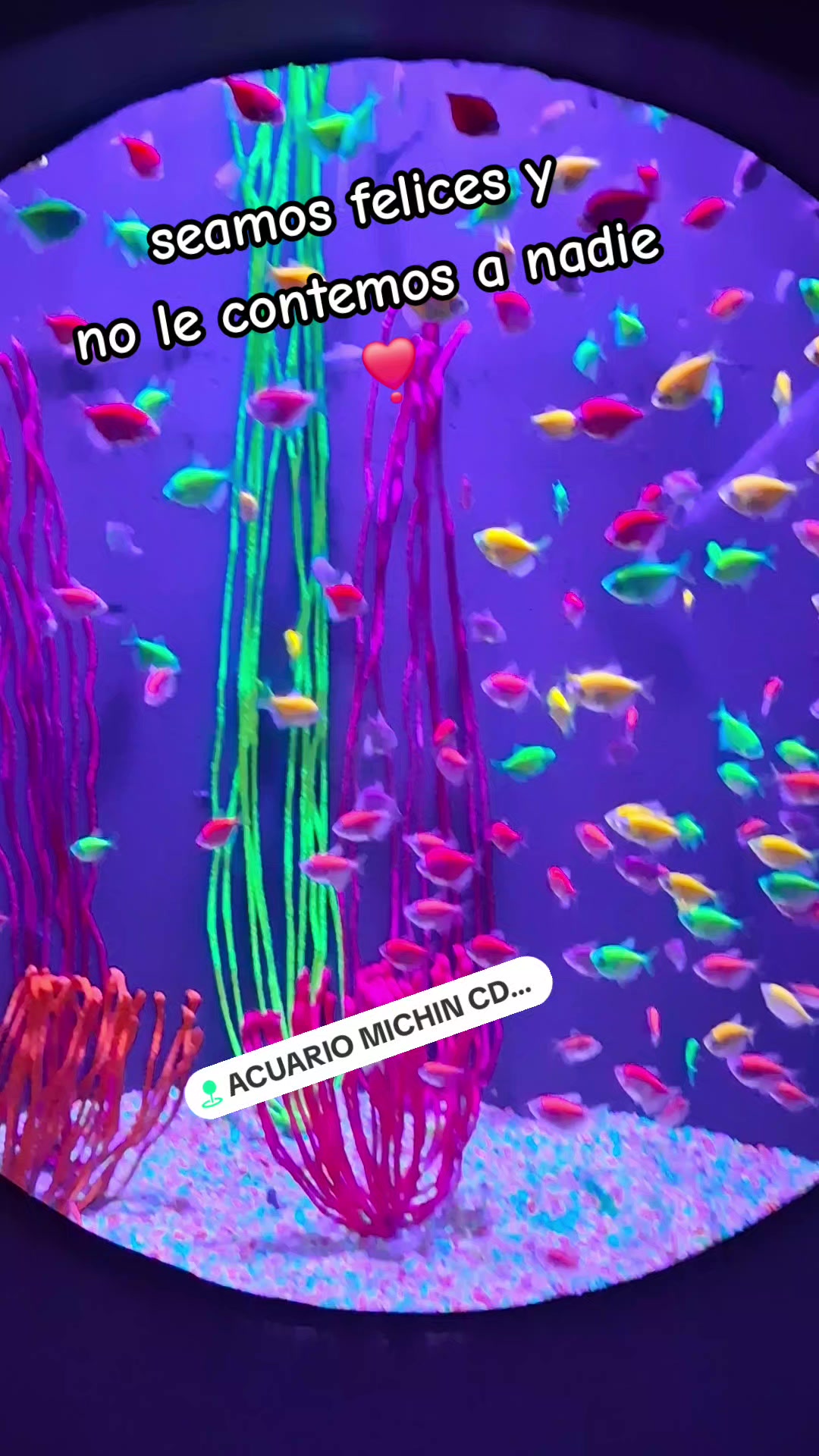 @๐ฌ๐๐๐๐๐๐๐ ๐ธ๏ธ