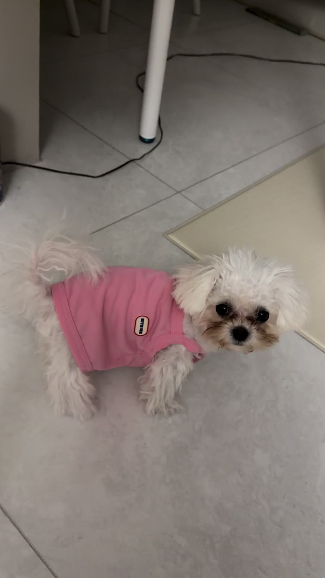 @jeju_kiki