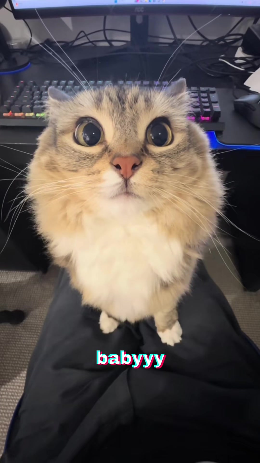 @Lunaistabby