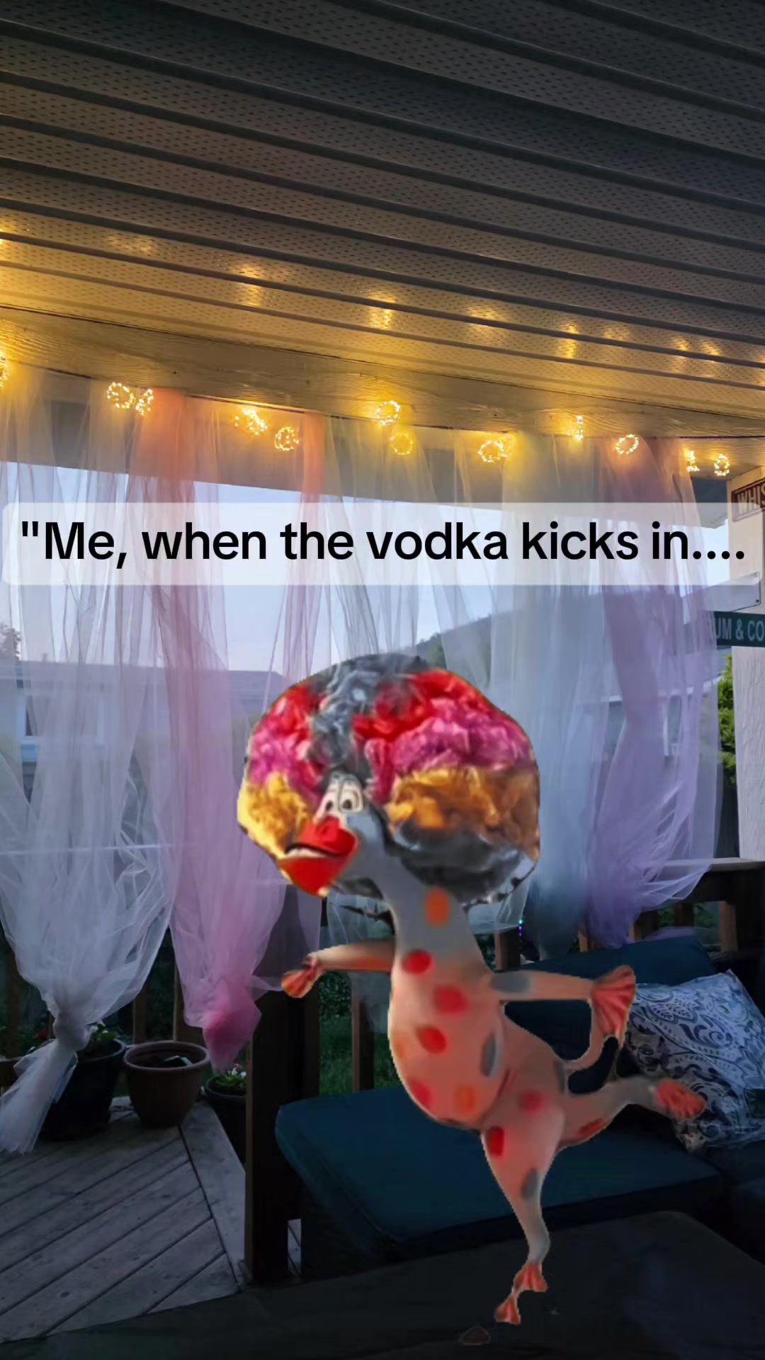 @Miss Country Gal