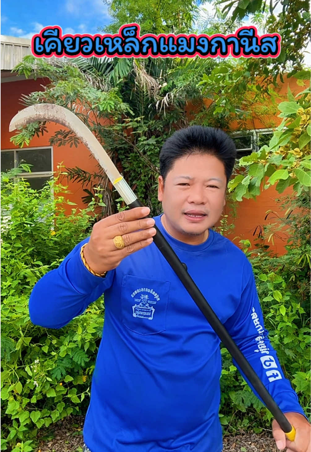 @วุดดี้ รีวิว56